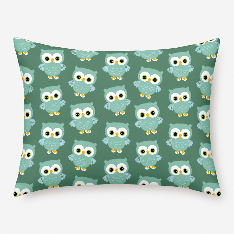 1 Pillow Cover